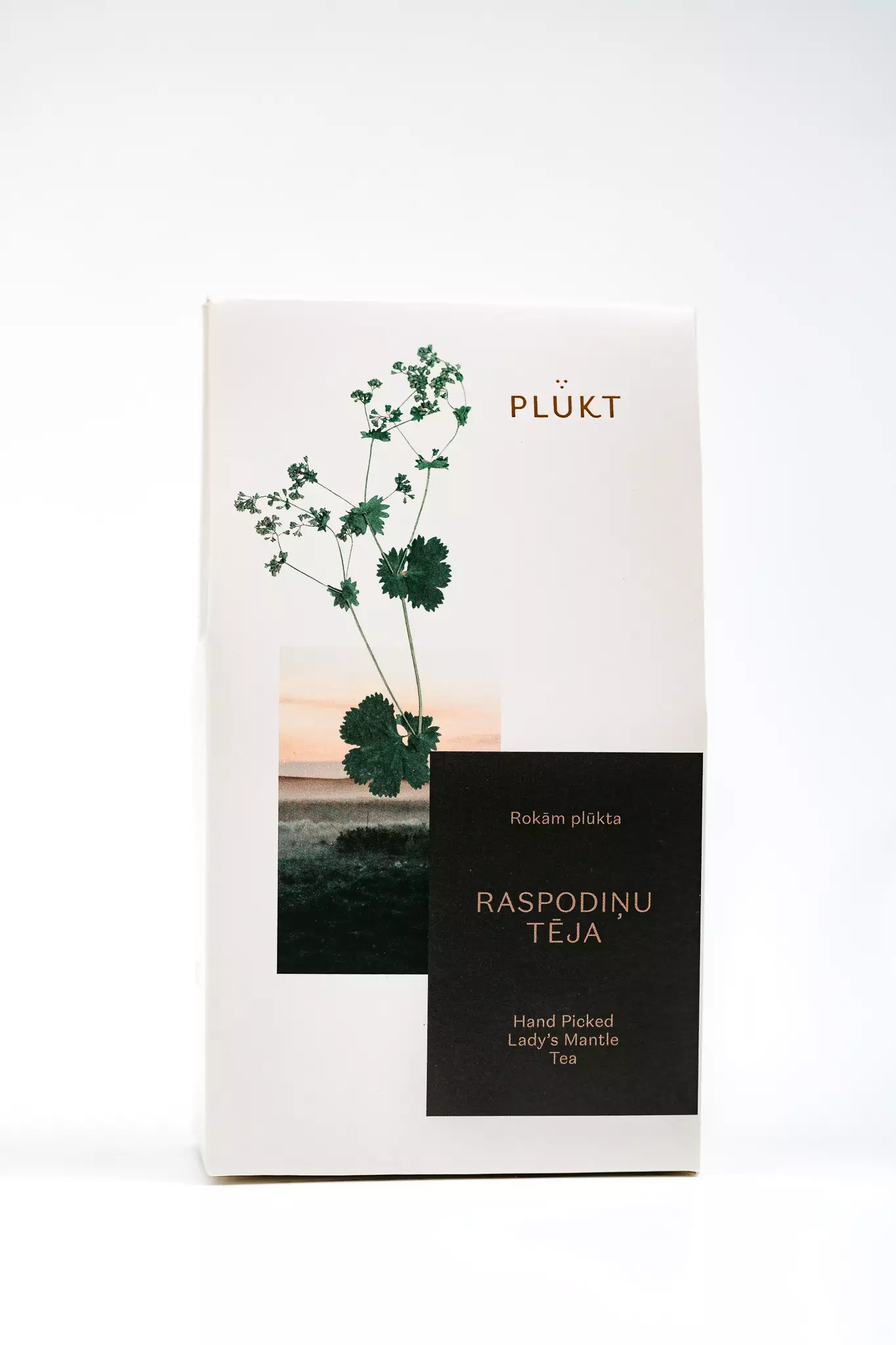 LADY'S MANTLE TEA_plukttea