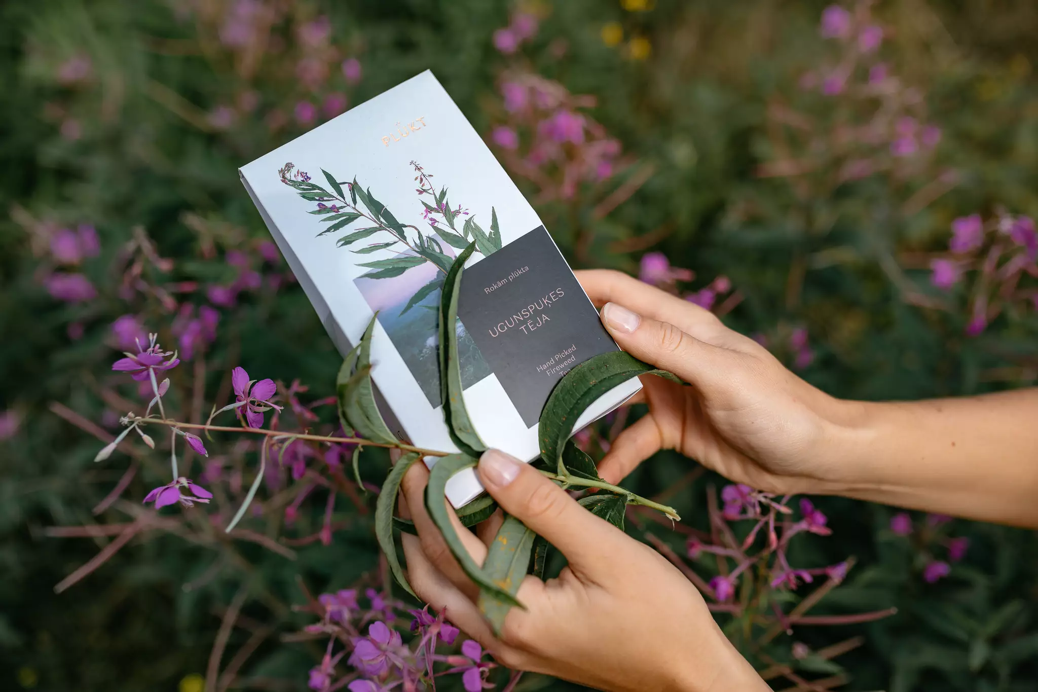 fireweed