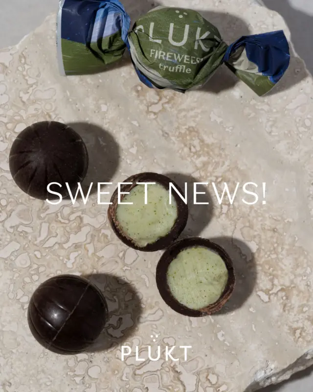 The sweetest news of the year! In collaboration with the outstanding Latvian chocolate truffle brand @purechocolate.lv , we’ve created PLŪKT Fireweed tea truffles!Wrapped in dark chocolate and filled with a delicate fireweed 💚 tea infusion. These truffles will elevate your tea moments and delight you with their vibrant green filling.🇱🇻 This collaboration between brands is a strong testament to the advantage of Latvian companies – the ability to create products with high added value. We will continue sharing the story of fireweed, a valuable wild plant, with the world in various formats, because this • is • our • field.🍵 tea hand-picked in Madona✅ truffles crafted in PūrePLŪKT x @purechocolate.lv truffles are currently available exclusively in PLŪKT gift sets at plukttea.com, and will soon be found in retail locations across Latvia!🤝 Product photos by @alifique , design by @overpriced.design & @aigars team, portraits by @elinavuskanephoto #ražotsLatvijā #radītsPasaulei #plukttea #NordicTea