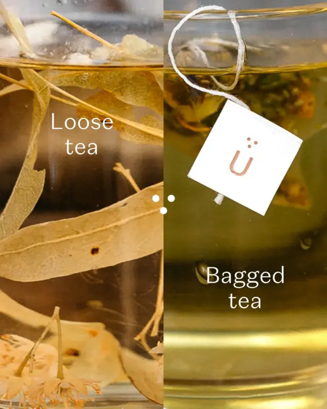 What are the differences between loose tea or bagged tea? Let’s find out which one is more suitable for you!✅Which format is your preference?