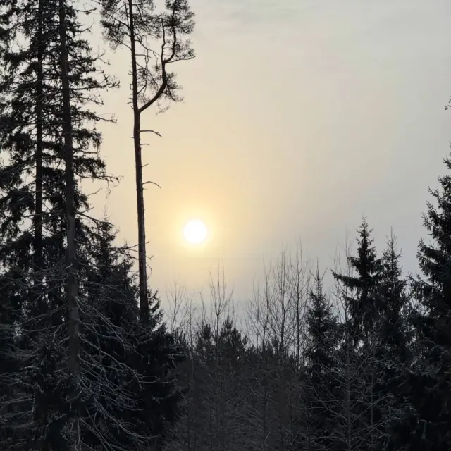 Welcome 2026✨May it be filled with love and Nordic wilderness.