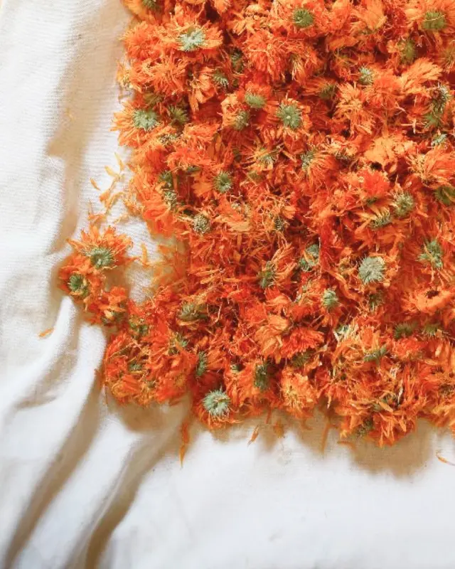 The new harvest season is coming and we are looking for certified organic farms to join our community. Share this with someone who loves to pick herbs and grow organic produce.Let’s connect info@plukttea.com#plukttea #NordicTea