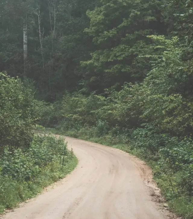 Roads that lead to forest. The place where wild Nordic herbs can be found. Gentle in flavour, yet powerful in health benefits and spirit.🌿Soon we will head out to hand-pick the fresh nature’s harvest.#plukttea #NordicTea