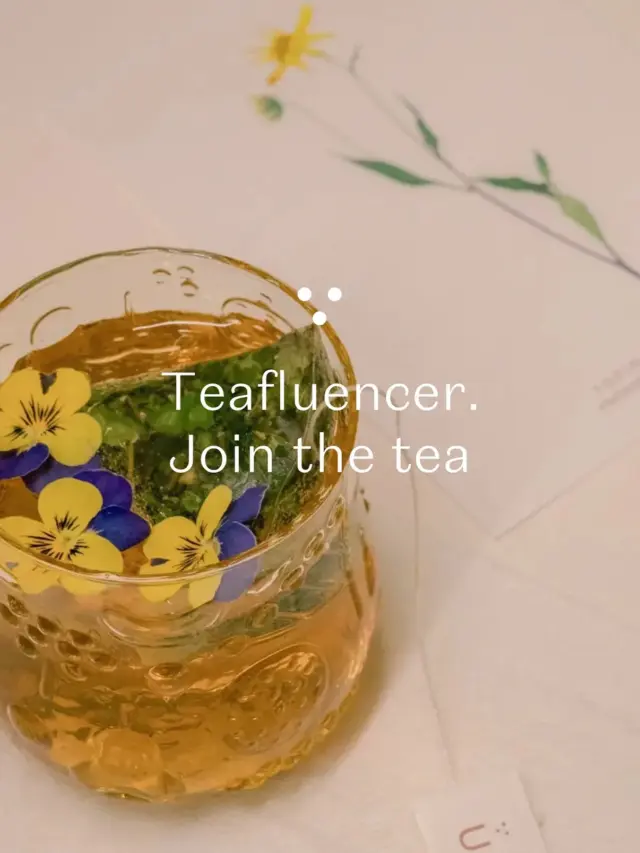 Ready to turn your passion for tea into something more? Join the PLŪKT Teafluencer Community and share the magic of Nordic herbal tea with the world 🌿Create. Sip. Inspire.We’re looking for authentic voices who love nature, wellness, and beautiful tea moments 🤍Think you’re a match?📩 Write to us and let’s grow together#plukttea #teafluencer #NordicTea #herbaltea #teacommunity