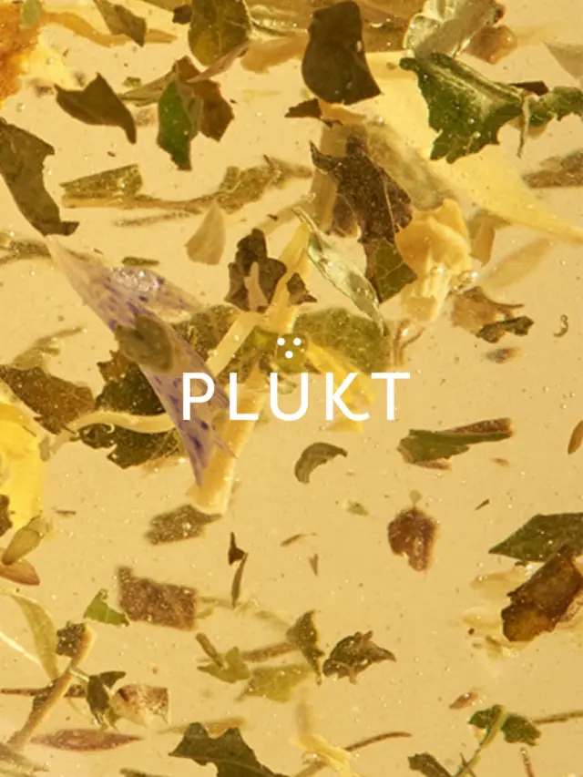 Spring is here! As we soon welcome the new harvest season, we are making room for new herbal tea flavours.Only in April, all orders above 30 EUR will receive a free sparkling tea as a gift ✨Shop now - plukttea.com#NordicTea #plukttea