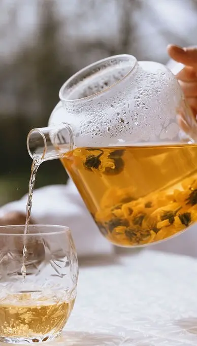 Start your Spring right with PLŪKT sparkling herbal tea. Fresh, nourishing, botanical flavours.💚0 sugarCaffeine-freeAll orders above 30 EUR receive a sparkling tea as a gift.#plukttea #NordicTea